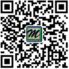 潛山縣皖國制刷廠-毛刷,毛刷輥,鋼絲輥,鋼絲刷輥,皮帶清掃器